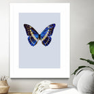 Blue Butterfly by Incado on GIANT ART - multicolor animals; floral/still life