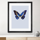 Blue Butterfly by Incado on GIANT ART - multicolor animals; floral/still life