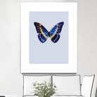 Blue Butterfly by Incado on GIANT ART - multicolor animals; floral/still life