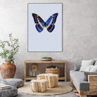 Blue Butterfly by Incado on GIANT ART - multicolor animals; floral/still life