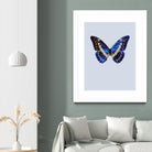 Blue Butterfly by Incado on GIANT ART - multicolor animals; floral/still life