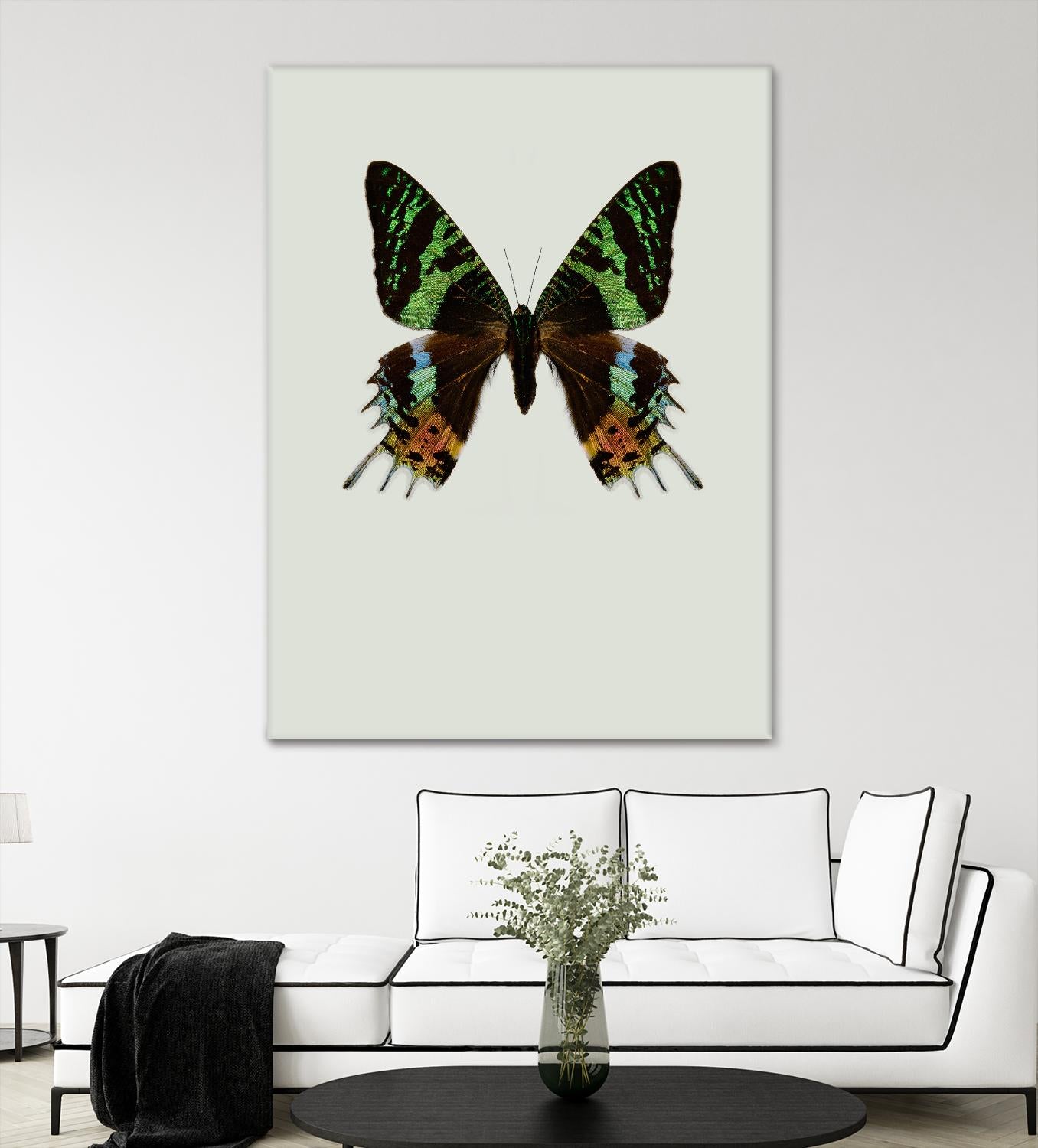 Chrysiridia rhipheus by Incado on GIANT ART - multicolor animals; floral/still life