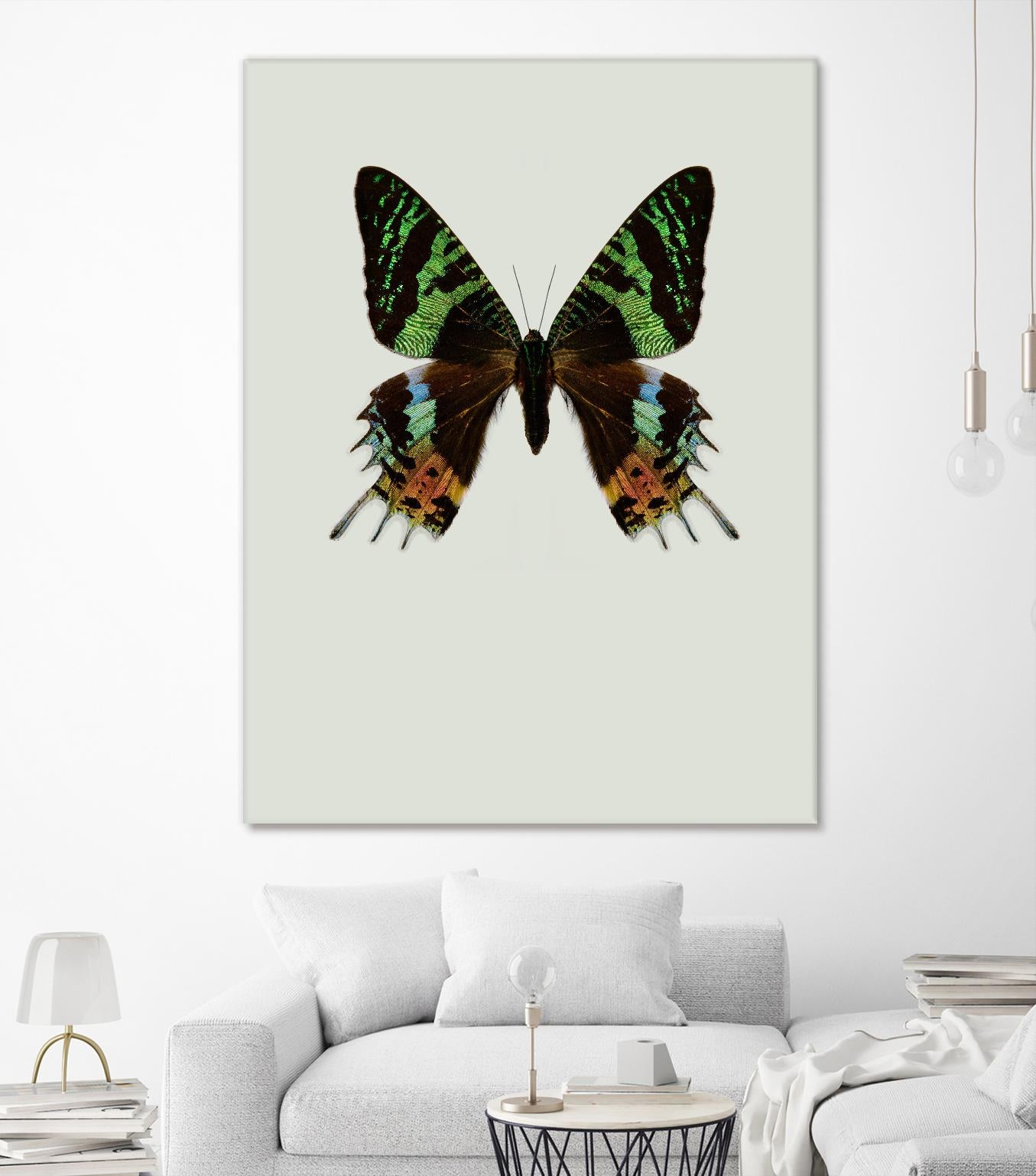 Chrysiridia rhipheus by Incado on GIANT ART - multicolor animals; floral/still life