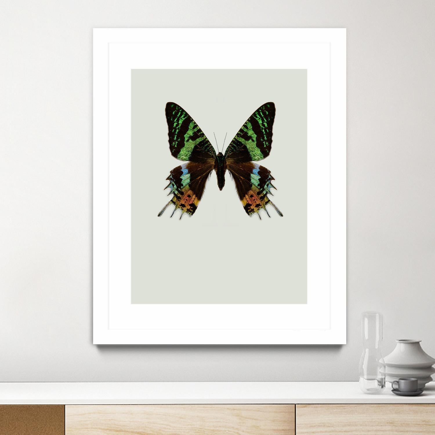 Chrysiridia rhipheus by Incado on GIANT ART - multicolor animals; floral/still life