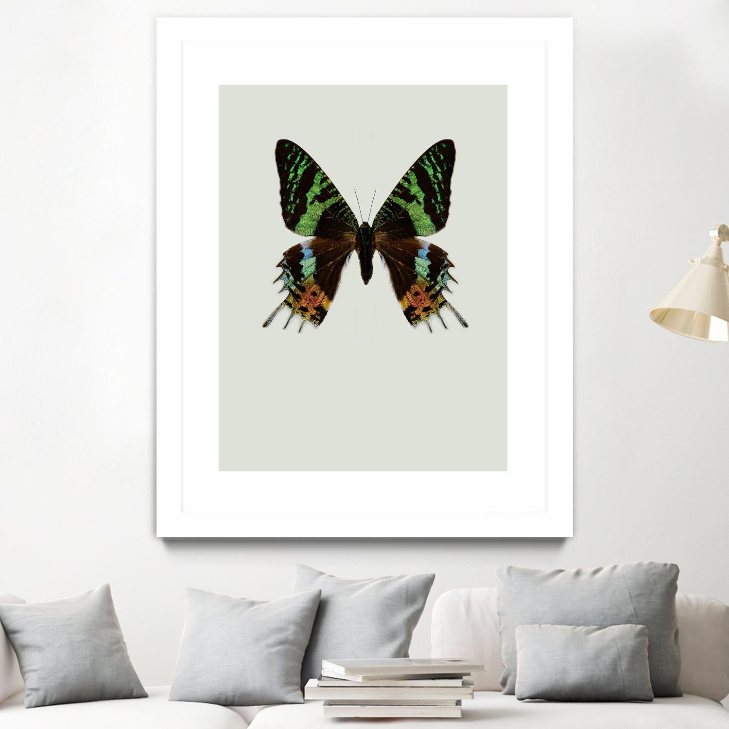 Chrysiridia rhipheus by Incado on GIANT ART - multicolor animals; floral/still life