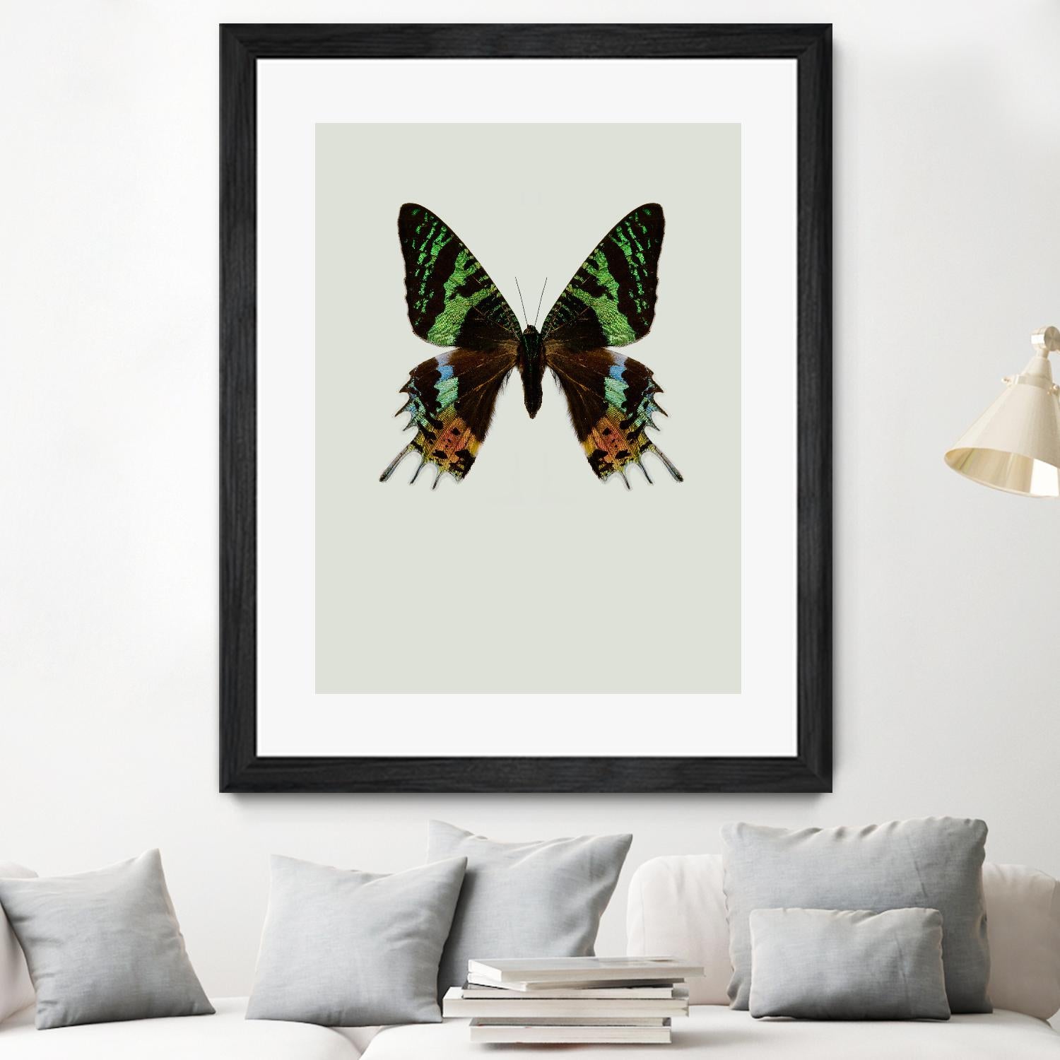 Chrysiridia rhipheus by Incado on GIANT ART - multicolor animals; floral/still life