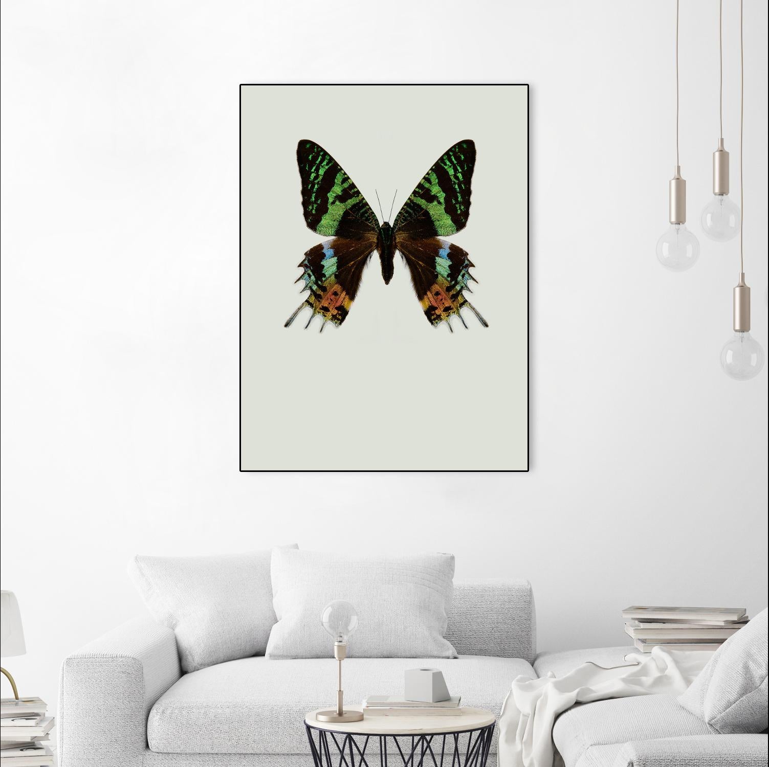 Chrysiridia rhipheus by Incado on GIANT ART - multicolor animals; floral/still life