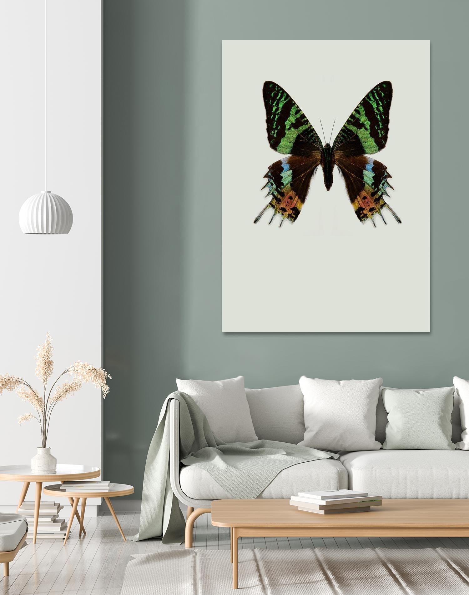 Chrysiridia rhipheus by Incado on GIANT ART - multicolor animals; floral/still life