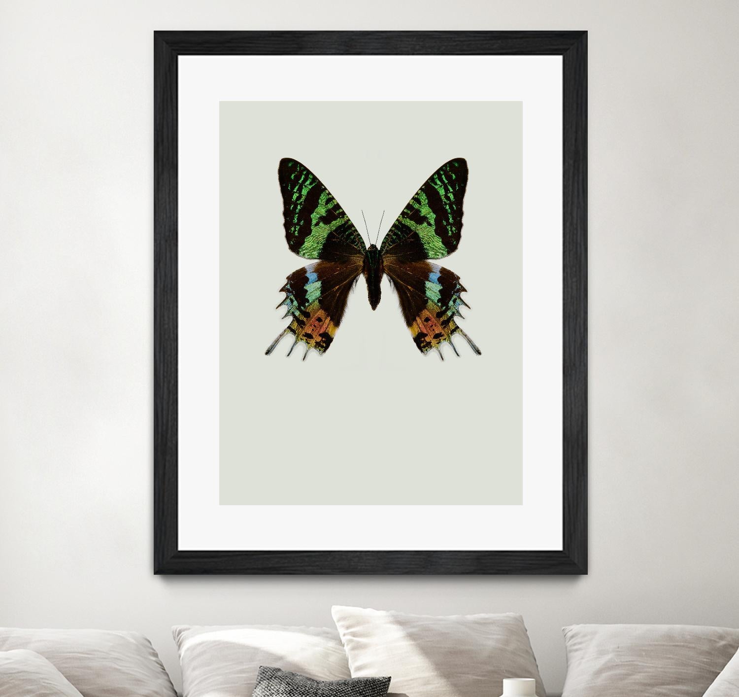 Chrysiridia rhipheus by Incado on GIANT ART - multicolor animals; floral/still life