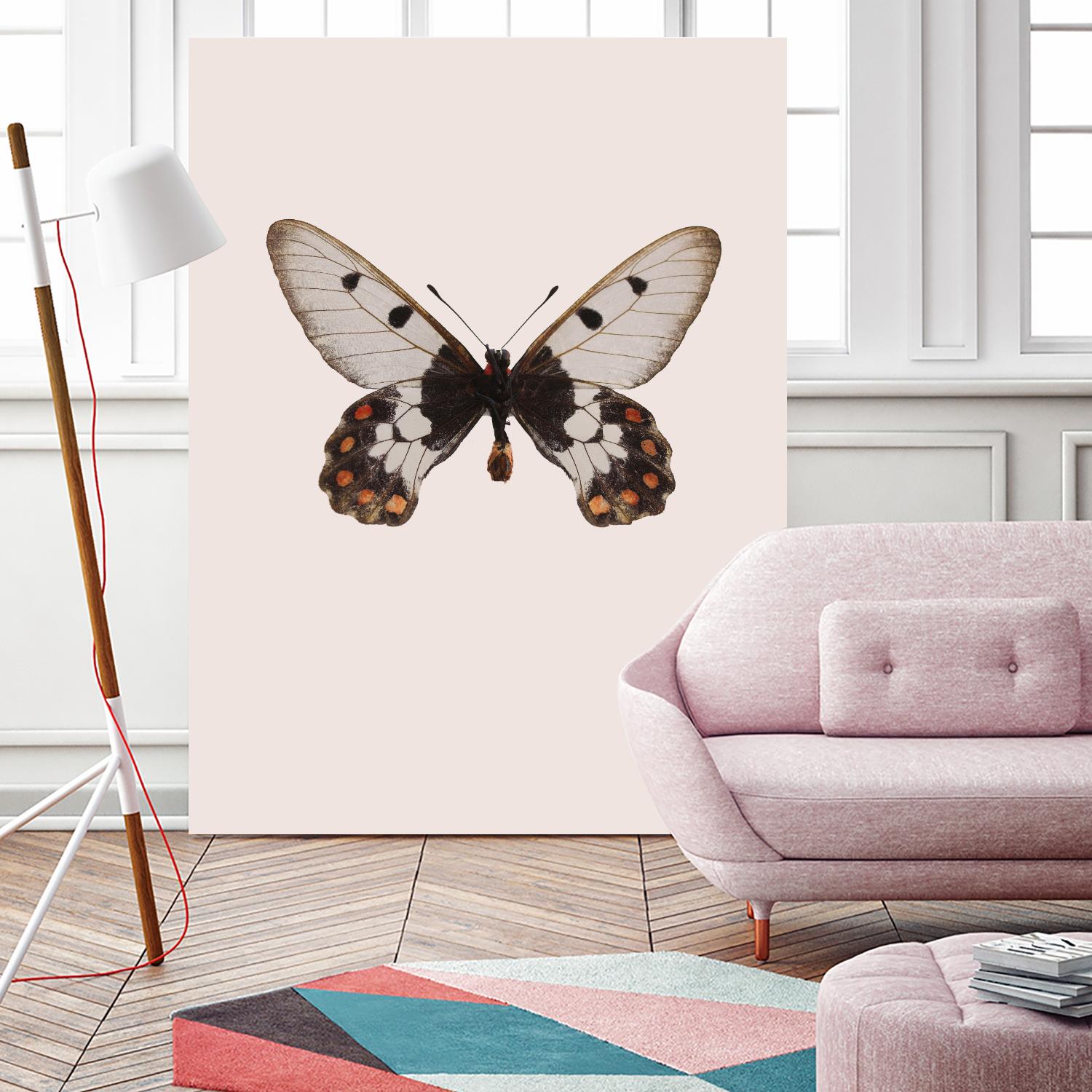 Cressida cressida by Incado on GIANT ART - multicolor animals; floral/still life