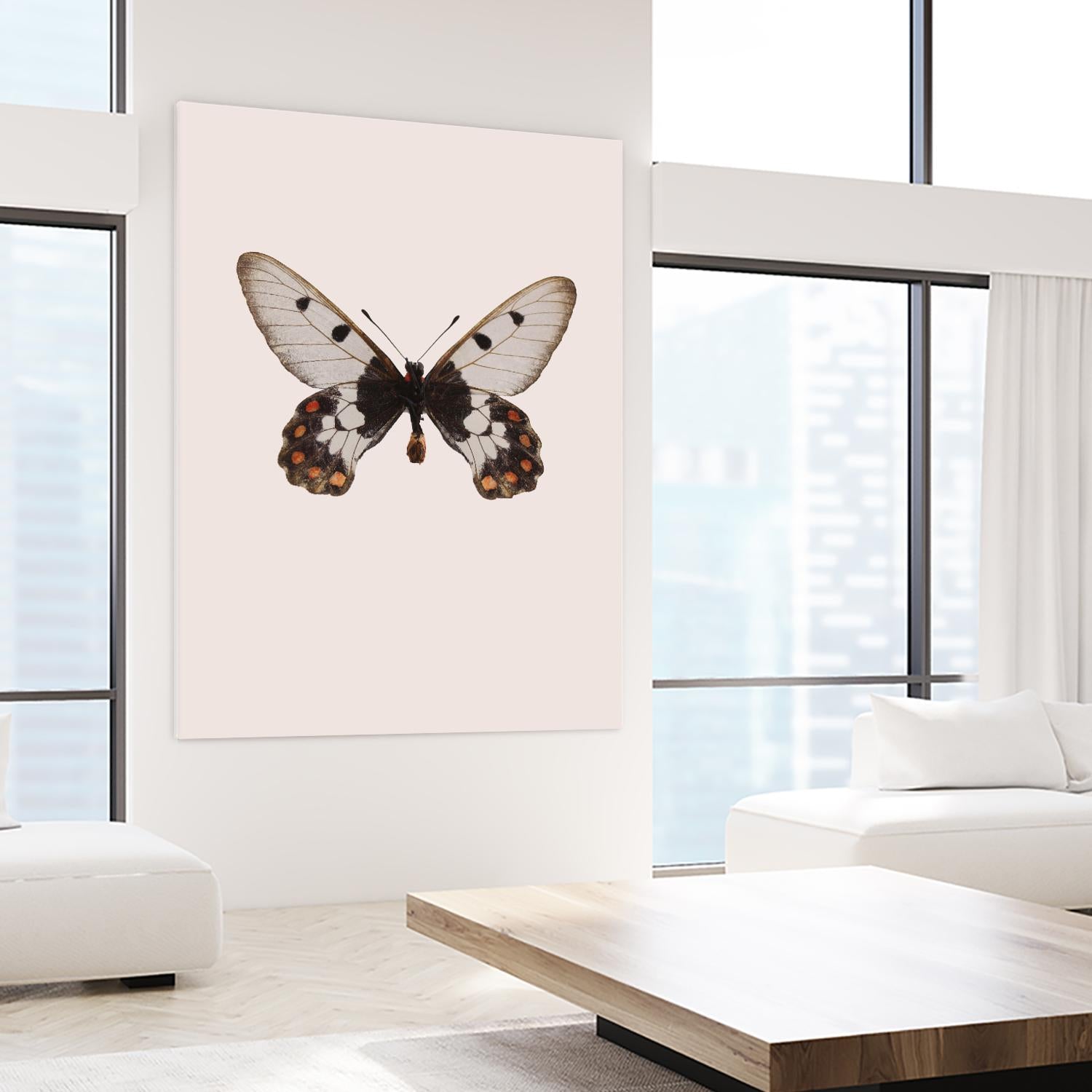 Cressida cressida by Incado on GIANT ART - multicolor animals; floral/still life