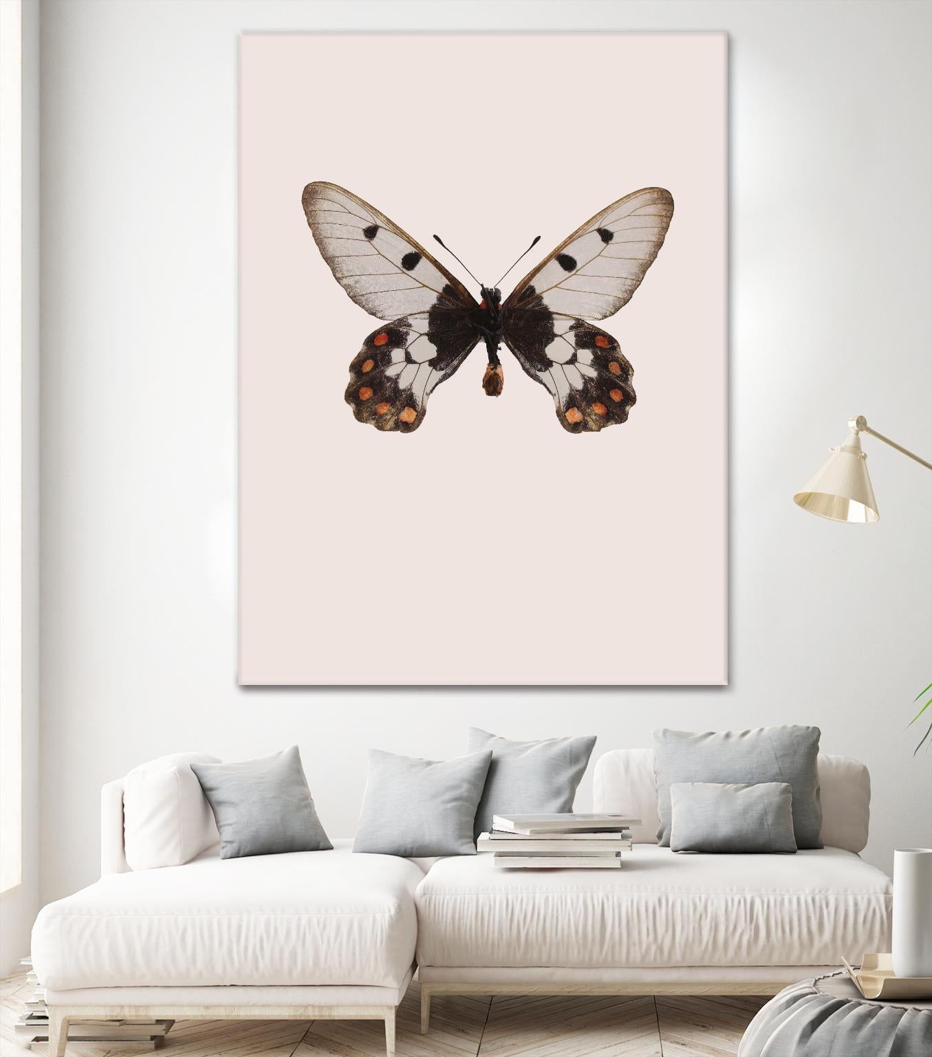 Cressida cressida by Incado on GIANT ART - multicolor animals; floral/still life