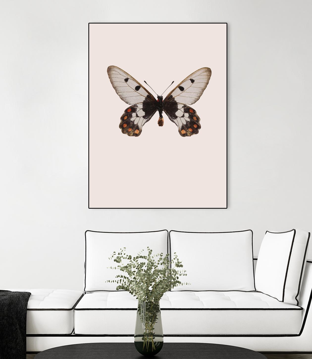 Cressida cressida by Incado on GIANT ART - multicolor animals; floral/still life