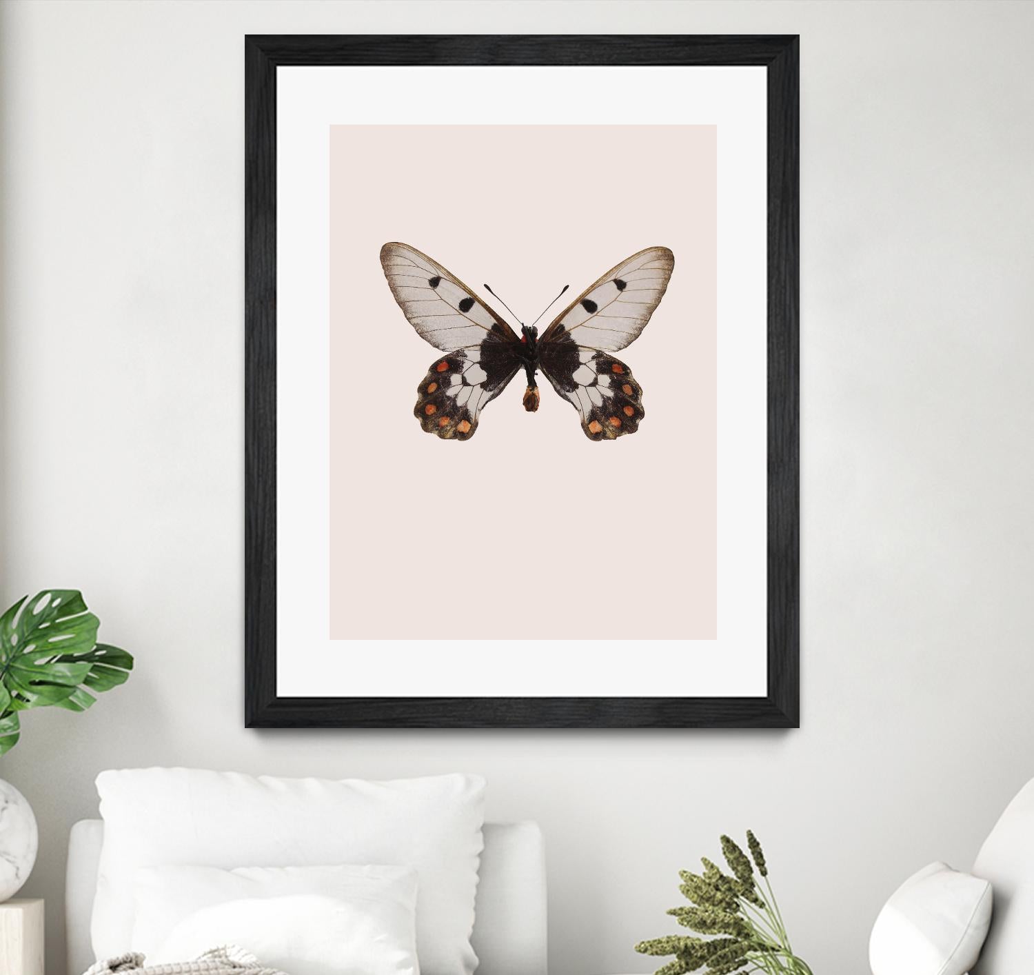 Cressida cressida by Incado on GIANT ART - multicolor animals; floral/still life