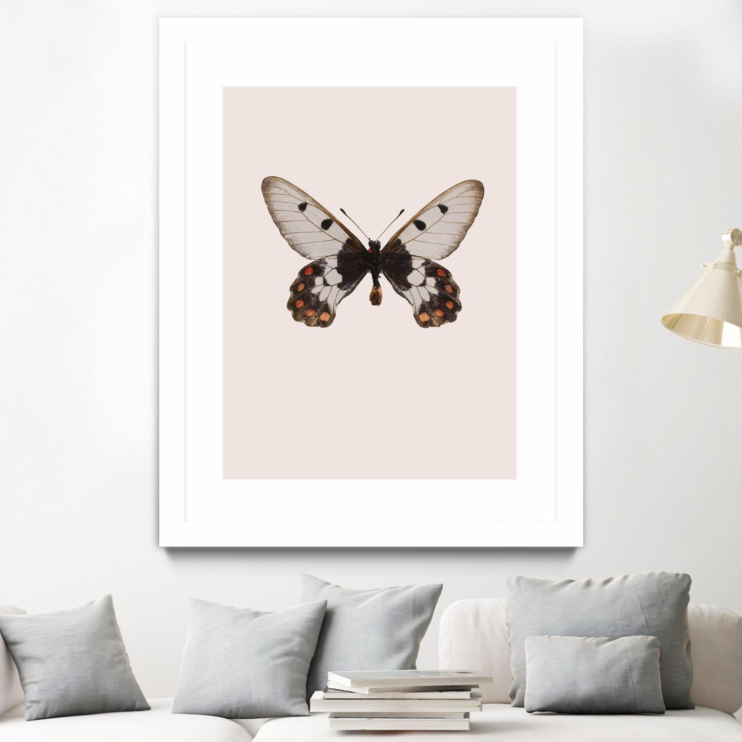 Cressida cressida by Incado on GIANT ART - multicolor animals; floral/still life