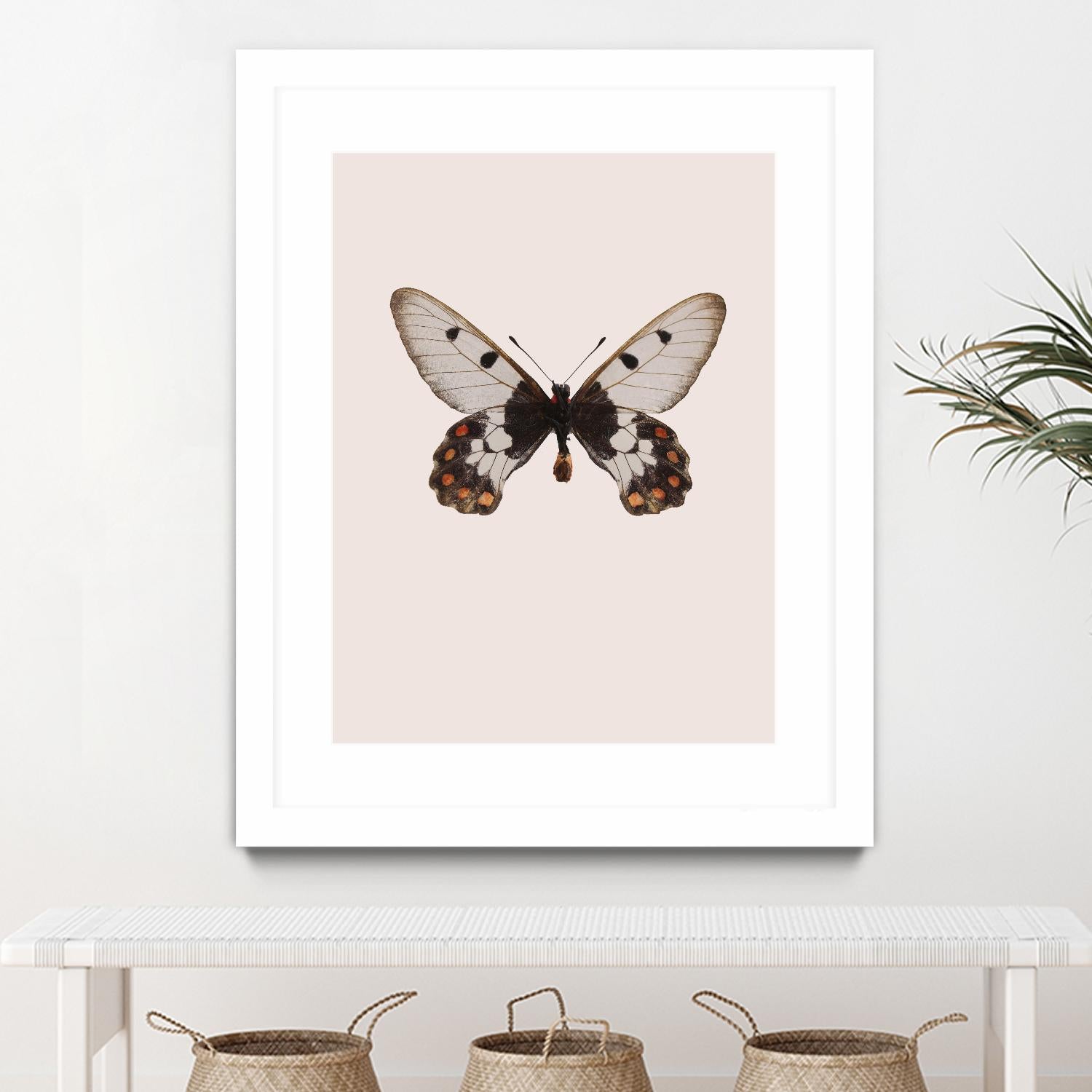 Cressida cressida by Incado on GIANT ART - multicolor animals; floral/still life