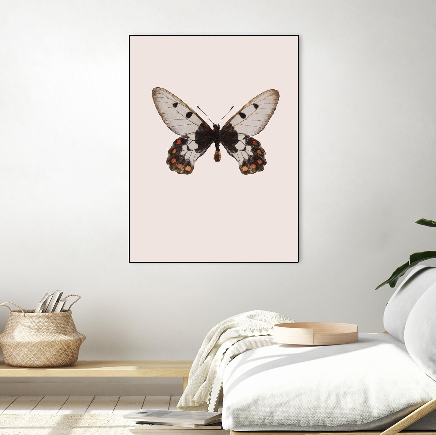 Cressida cressida by Incado on GIANT ART - multicolor animals; floral/still life