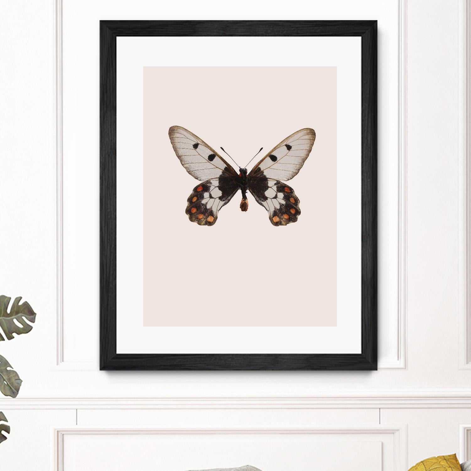 Cressida cressida by Incado on GIANT ART - multicolor animals; floral/still life