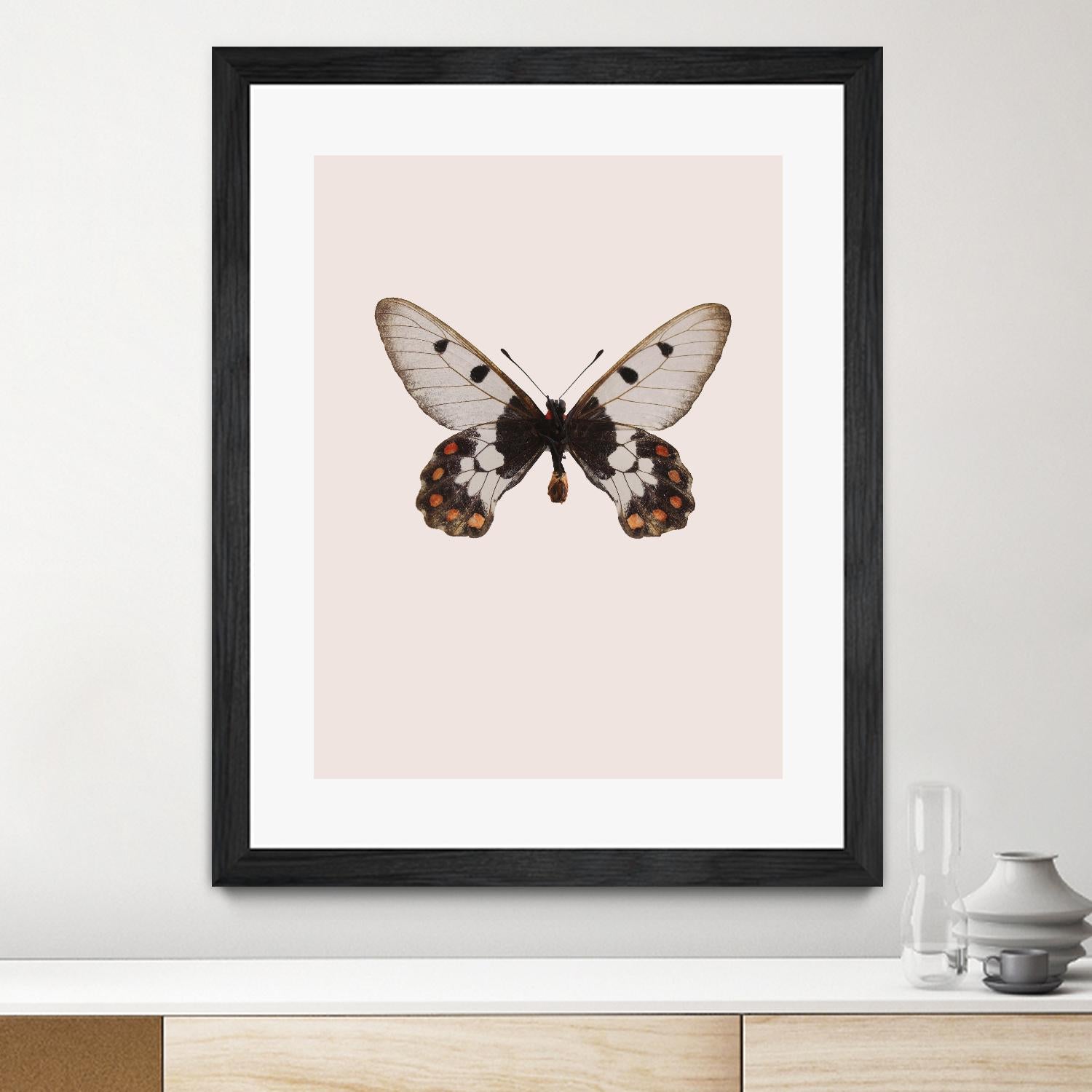 Cressida cressida by Incado on GIANT ART - multicolor animals; floral/still life