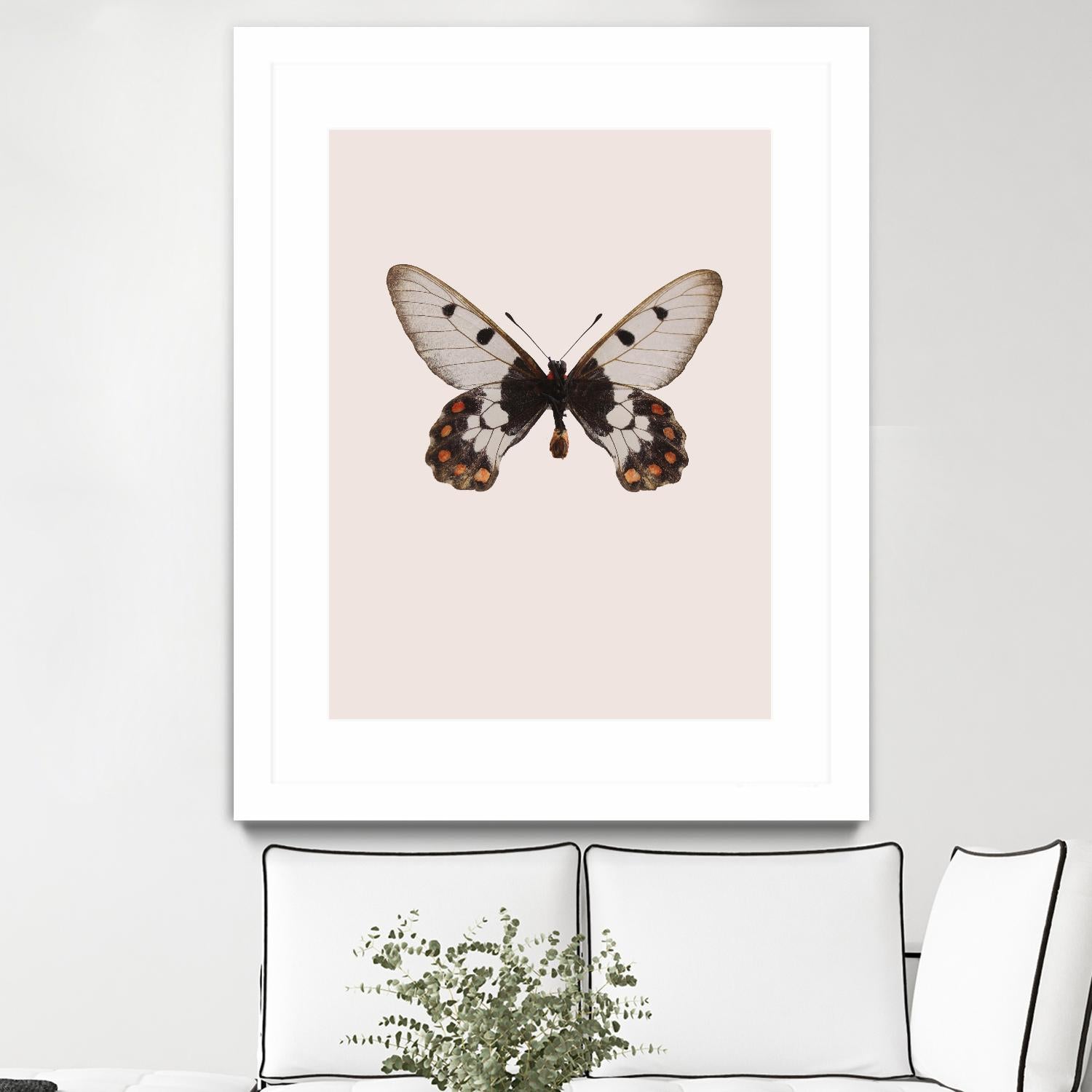 Cressida cressida by Incado on GIANT ART - multicolor animals; floral/still life