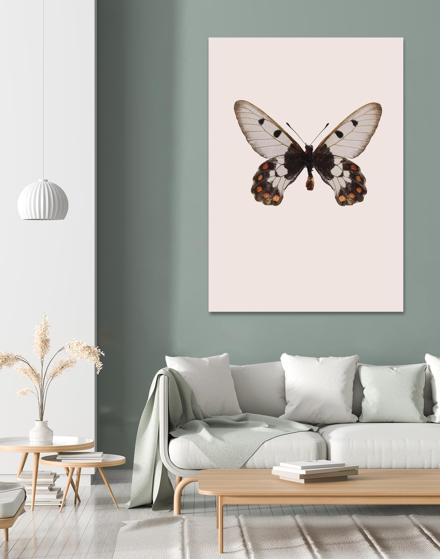 Cressida cressida by Incado on GIANT ART - multicolor animals; floral/still life