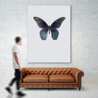 Great Mormon by Incado on GIANT ART - multicolor animals; floral/still life