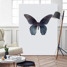 Great Mormon by Incado on GIANT ART - multicolor animals; floral/still life