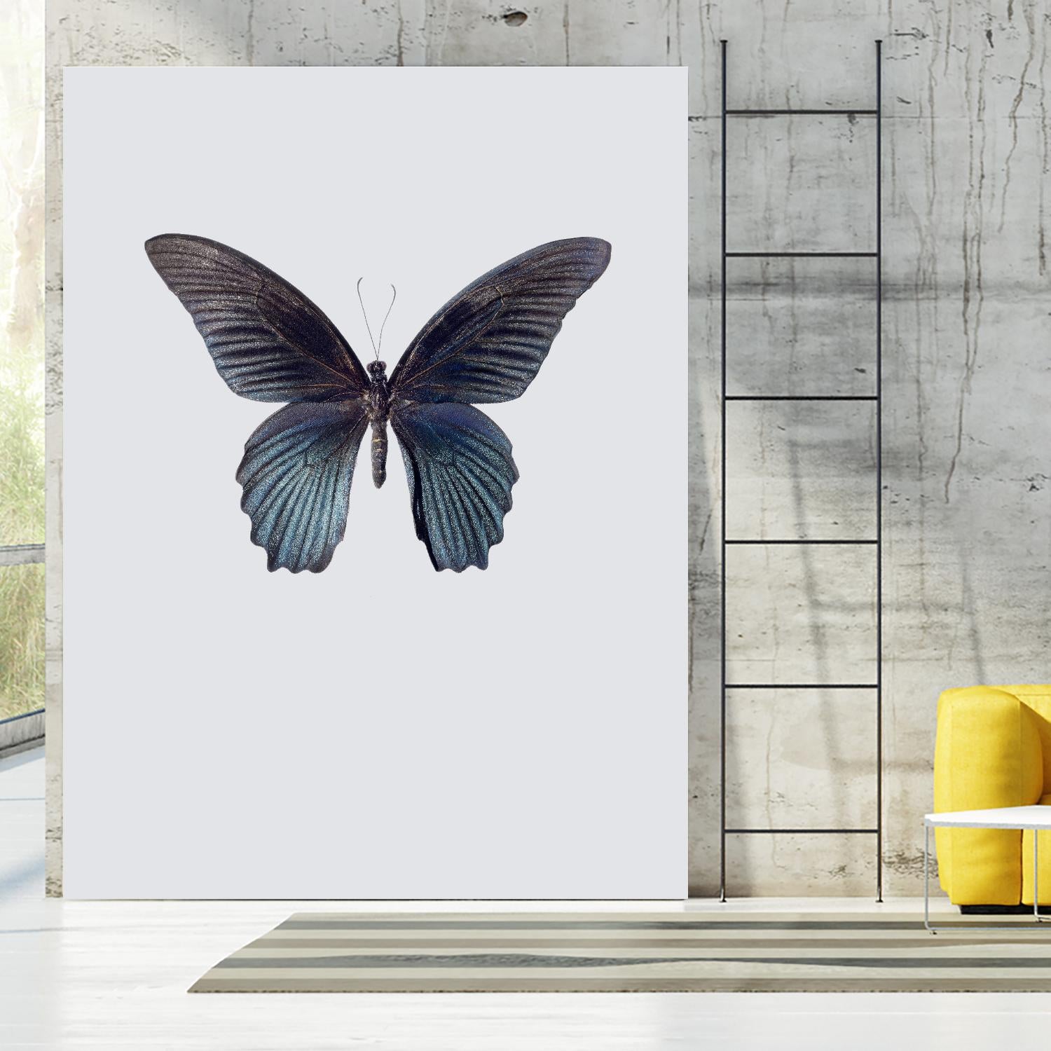 Great Mormon by Incado on GIANT ART - multicolor animals; floral/still life