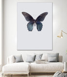 Great Mormon by Incado on GIANT ART - multicolor animals; floral/still life