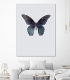 Great Mormon by Incado on GIANT ART - multicolor animals; floral/still life