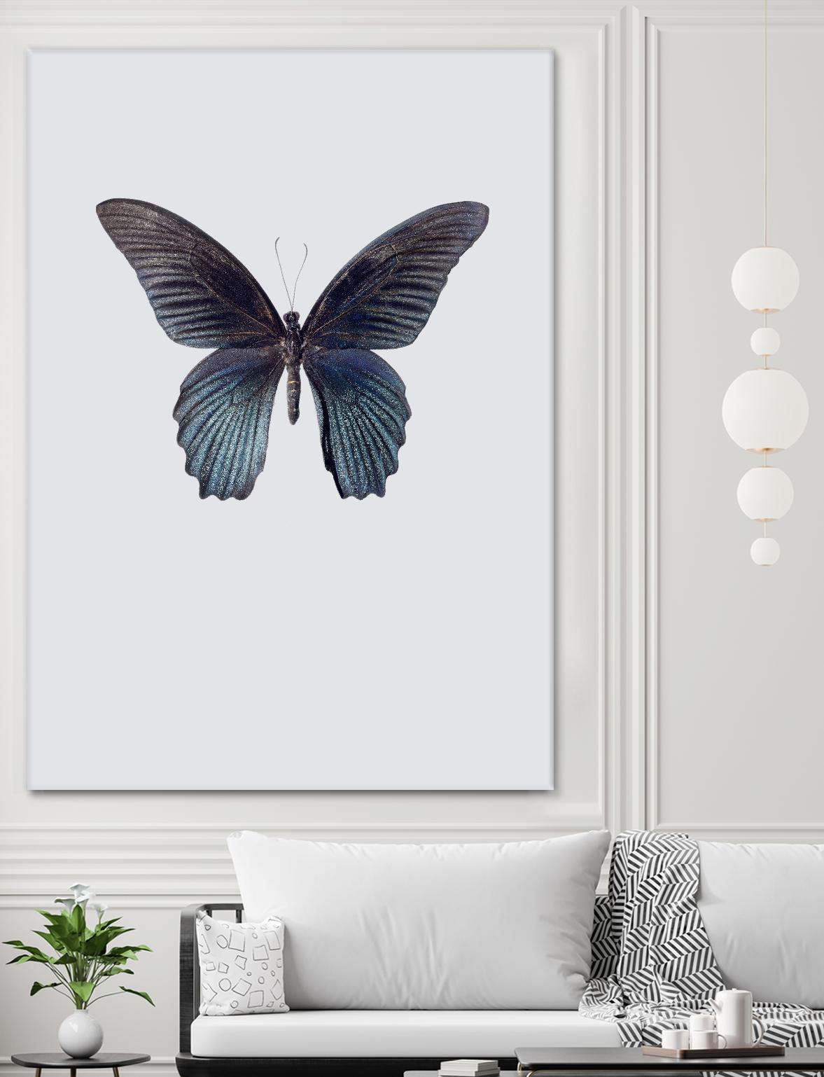 Great Mormon by Incado on GIANT ART - multicolor animals; floral/still life