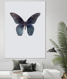 Great Mormon by Incado on GIANT ART - multicolor animals; floral/still life