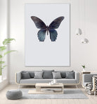 Great Mormon by Incado on GIANT ART - multicolor animals; floral/still life