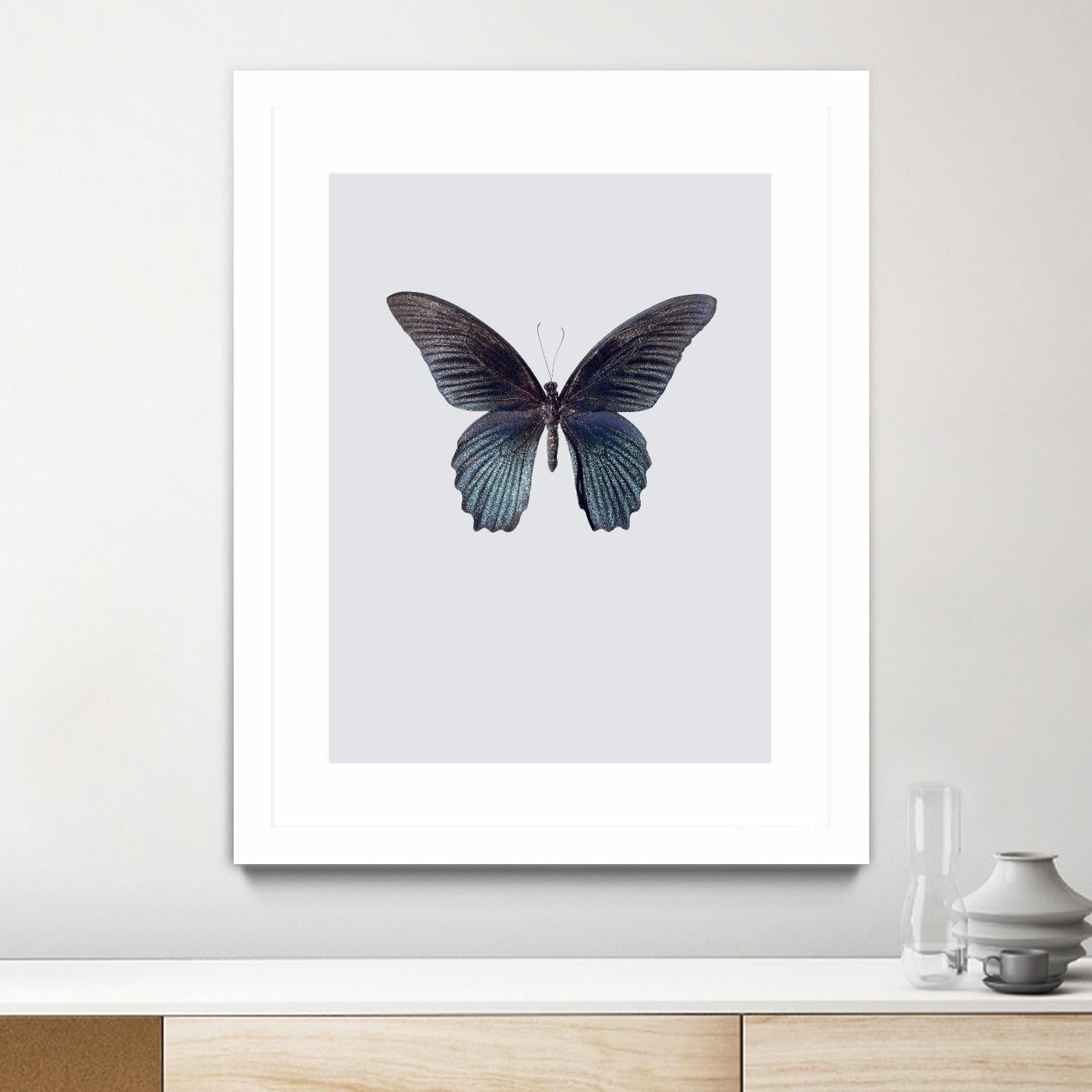 Great Mormon by Incado on GIANT ART - multicolor animals; floral/still life