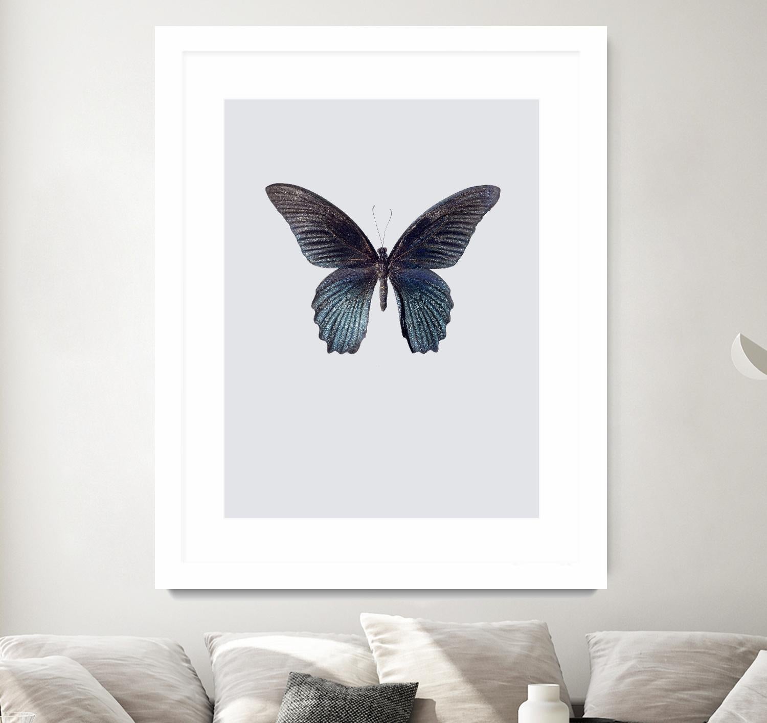 Great Mormon by Incado on GIANT ART - multicolor animals; floral/still life