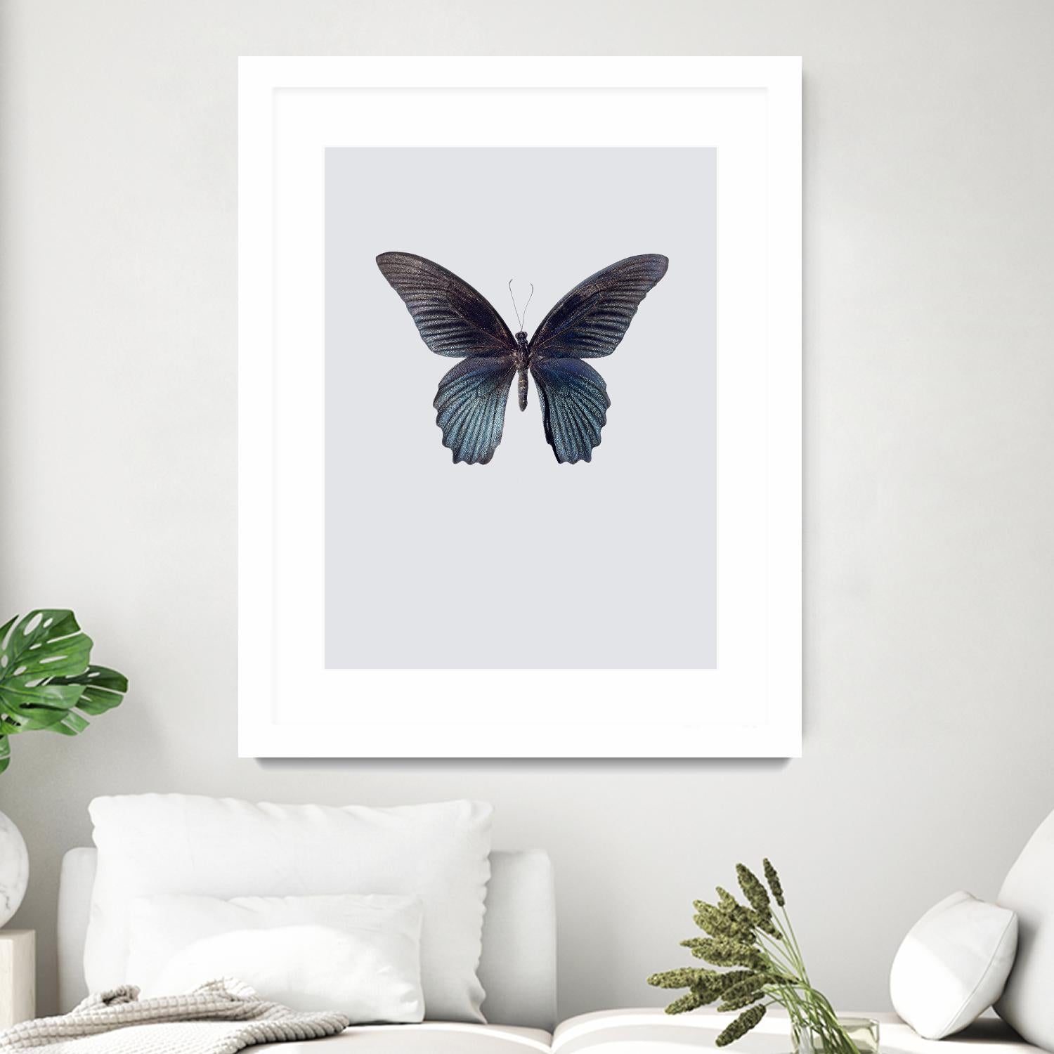 Great Mormon by Incado on GIANT ART - multicolor animals; floral/still life