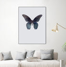 Great Mormon by Incado on GIANT ART - multicolor animals; floral/still life