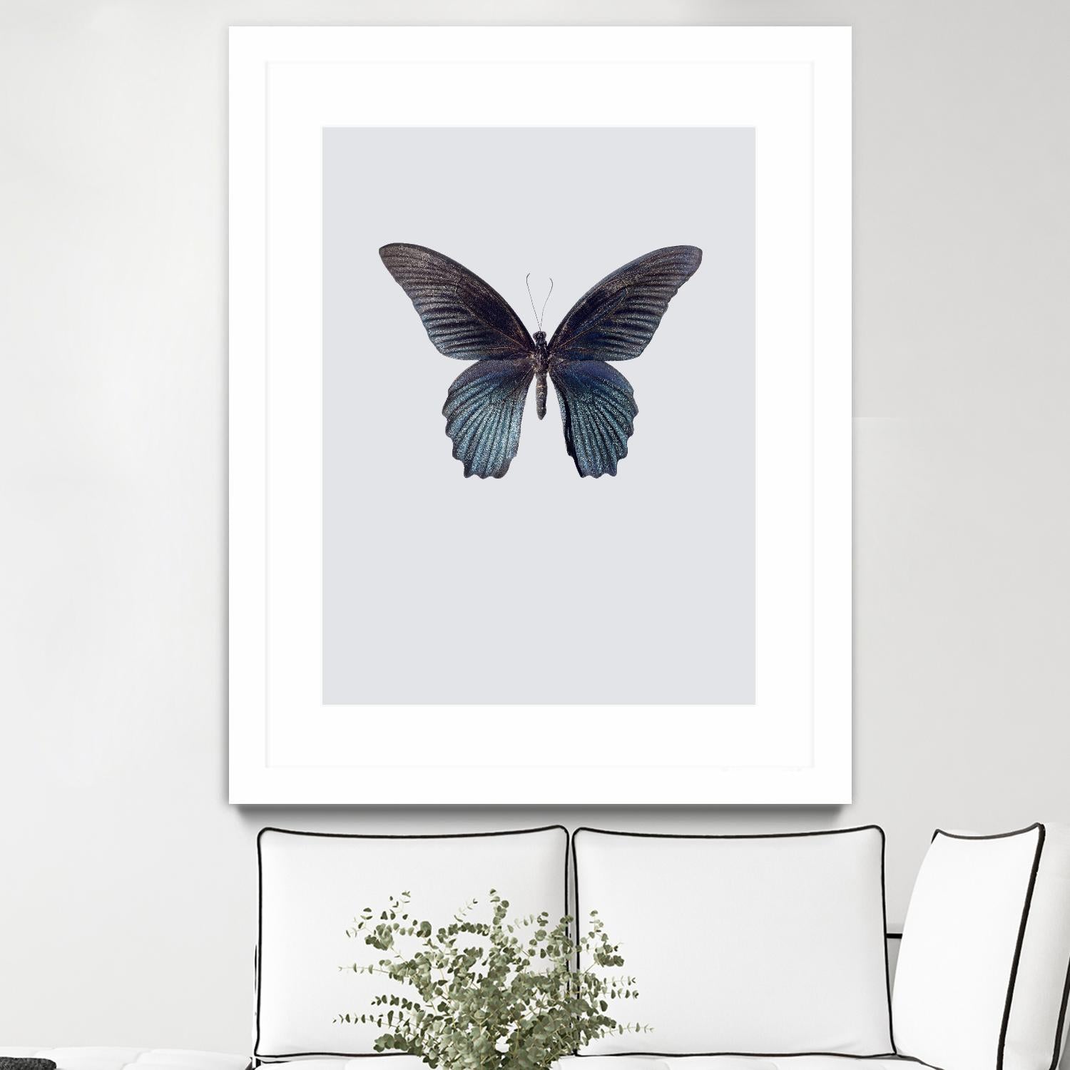 Great Mormon by Incado on GIANT ART - multicolor animals; floral/still life