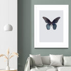 Great Mormon by Incado on GIANT ART - multicolor animals; floral/still life