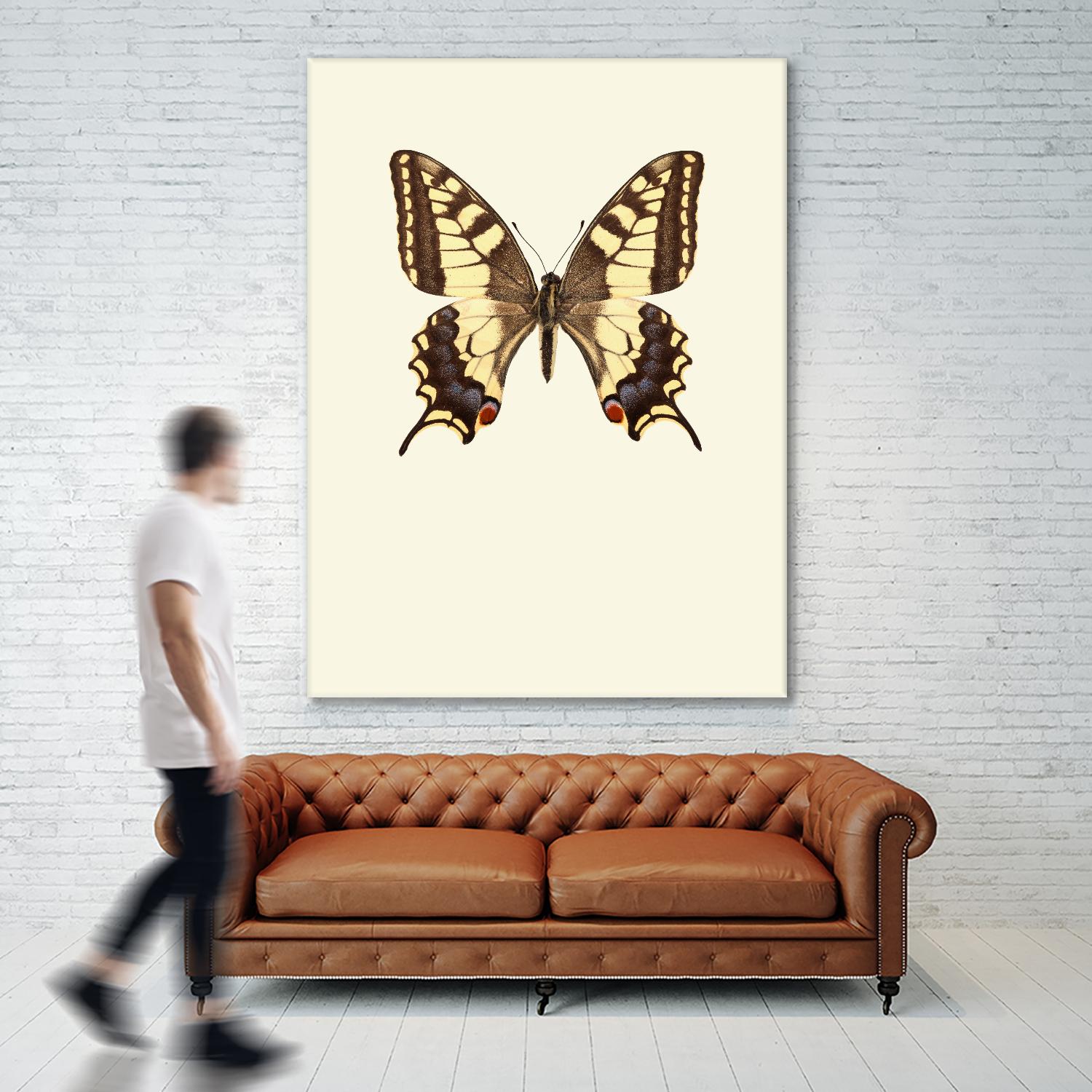 Papilio machaon by Incado on GIANT ART - multicolor animals; floral/still life