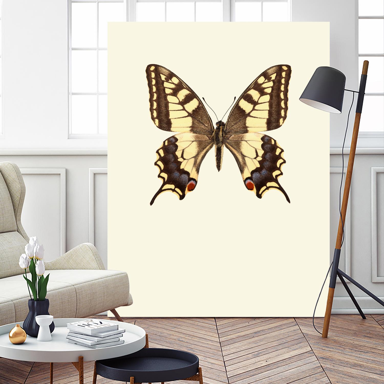 Papilio machaon by Incado on GIANT ART - multicolor animals; floral/still life