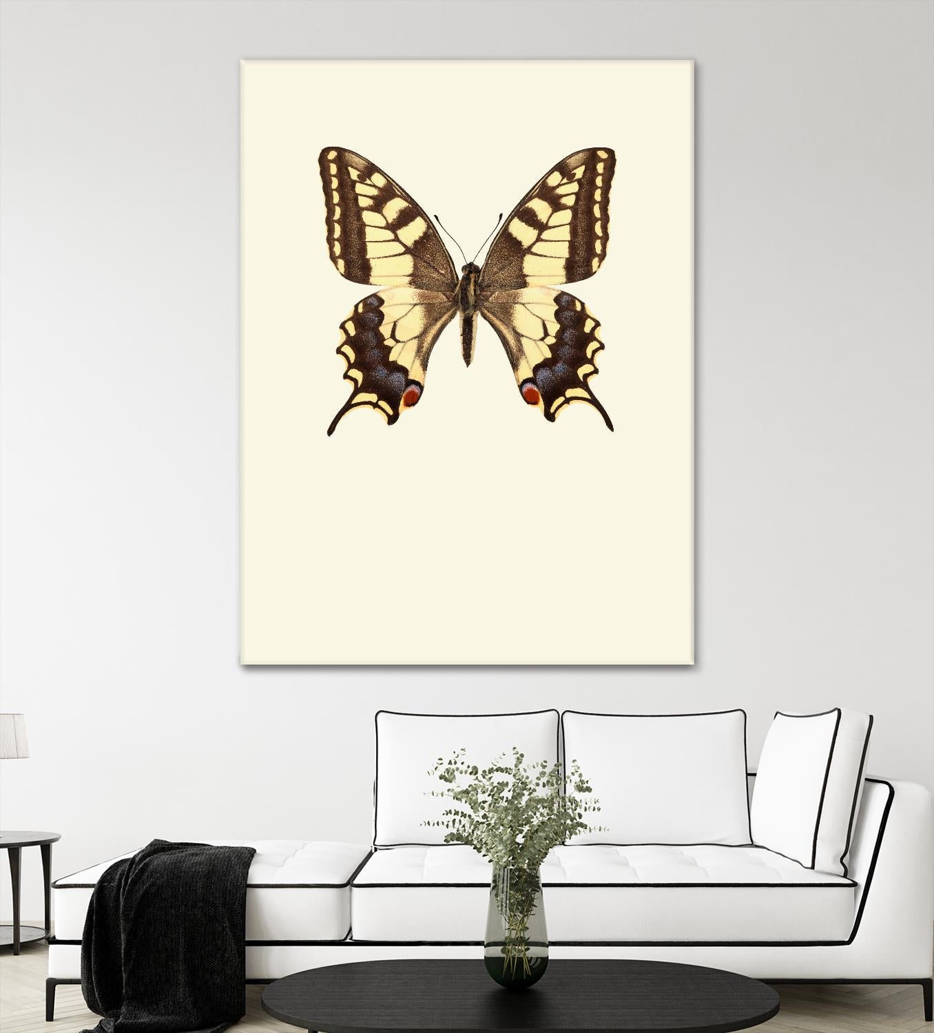 Papilio machaon by Incado on GIANT ART - multicolor animals; floral/still life