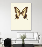 Papilio machaon by Incado on GIANT ART - multicolor animals; floral/still life