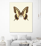 Papilio machaon by Incado on GIANT ART - multicolor animals; floral/still life