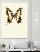 Papilio machaon by Incado on GIANT ART - multicolor animals; floral/still life