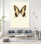 Papilio machaon by Incado on GIANT ART - multicolor animals; floral/still life
