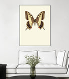 Papilio machaon by Incado on GIANT ART - multicolor animals; floral/still life