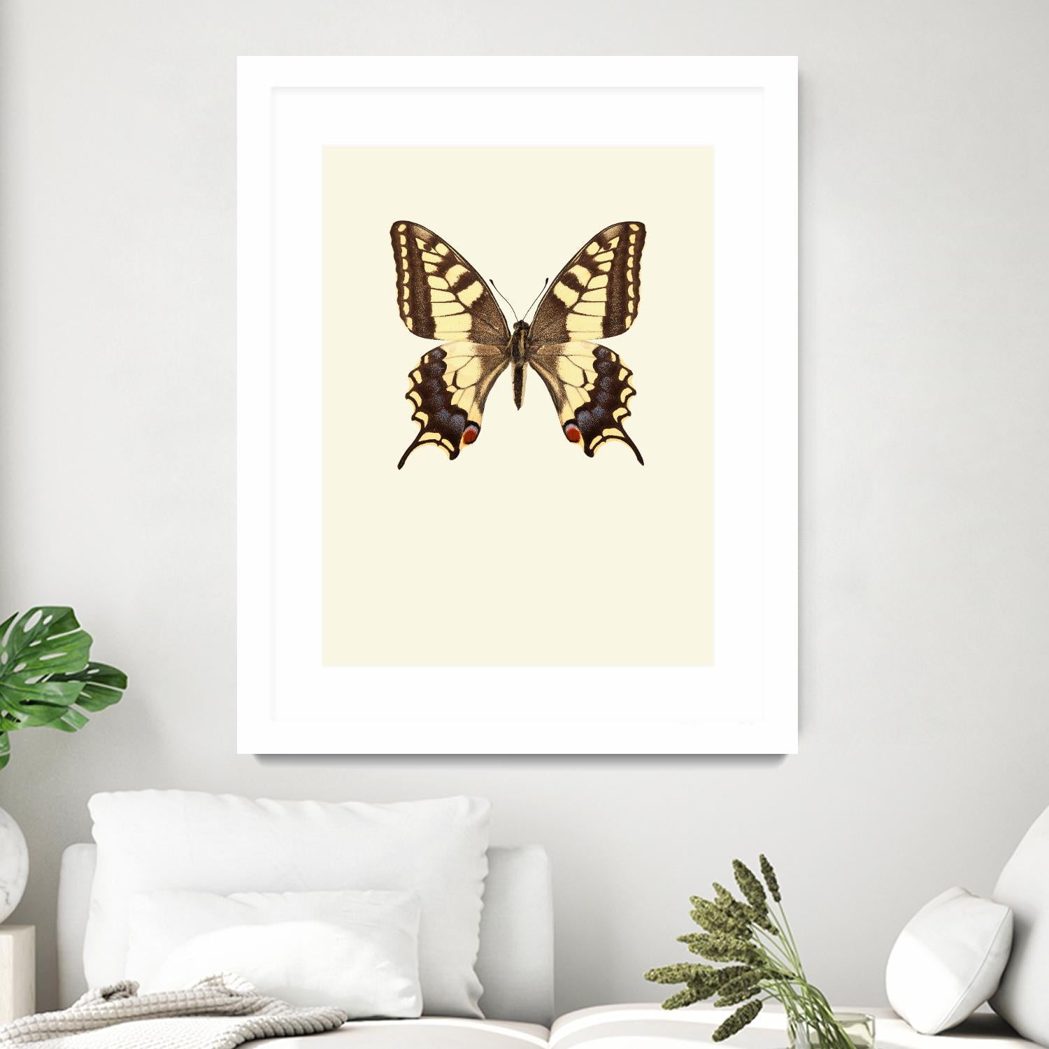 Papilio machaon by Incado on GIANT ART - multicolor animals; floral/still life