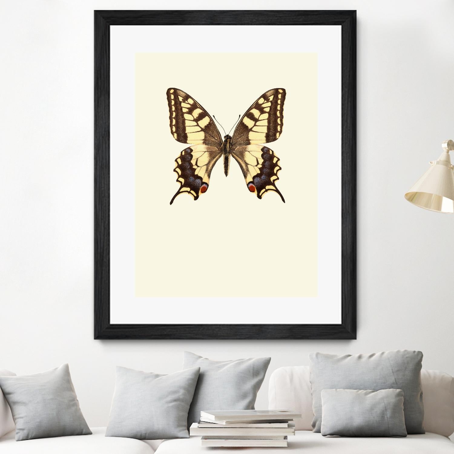 Papilio machaon by Incado on GIANT ART - multicolor animals; floral/still life