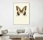 Papilio machaon by Incado on GIANT ART - multicolor animals; floral/still life